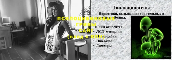 соль ск Арсеньев