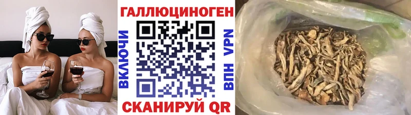 Псилоцибиновые грибы Psilocybe Нарьян-Мар